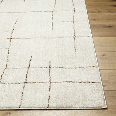 Koume Ivory & Brown Area Rug