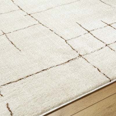 Koume Ivory & Brown Area Rug