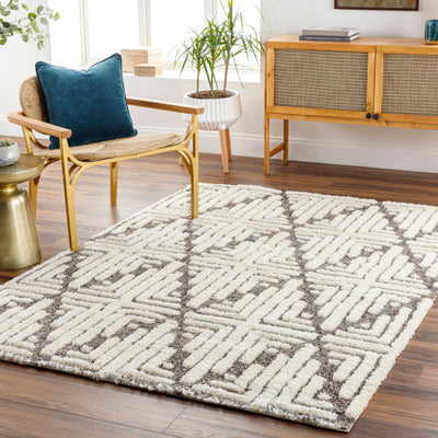 Livi Beige Area Rug - Clearance