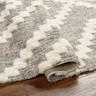 Rian Beige Area Rug - Clearance