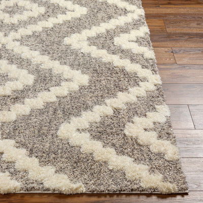 Rian Beige Area Rug - Clearance