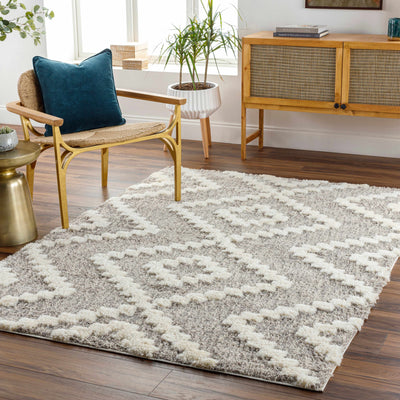 Rian Beige Area Rug - Clearance