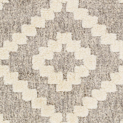 Rian Beige Area Rug - Clearance