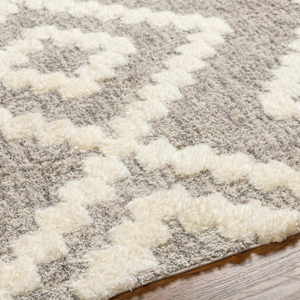 Rian Beige Area Rug - Clearance