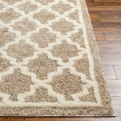 Yepa Tan Area Rug - Clearance