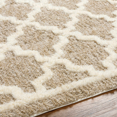 Yepa Tan Area Rug - Clearance