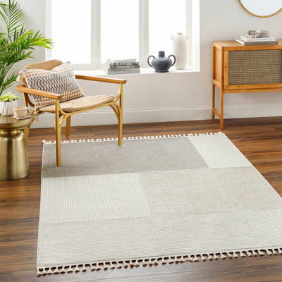 Abia Gray Area Rug