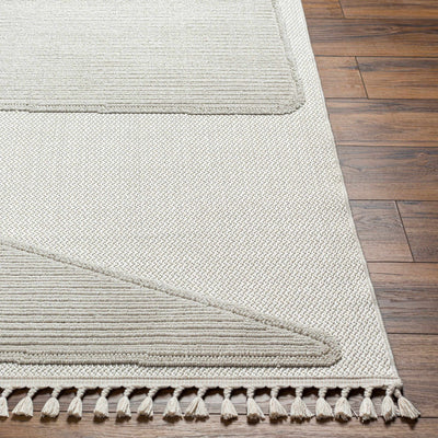 Brac Area Rug