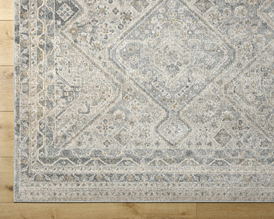 Sagen Sage Medallion Area Rug