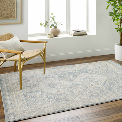 Sagen Blue Medallion Area Rug