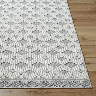 Salil Area Rug