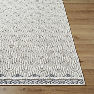 Salil Area Rug