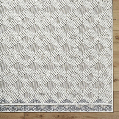 Salil Area Rug