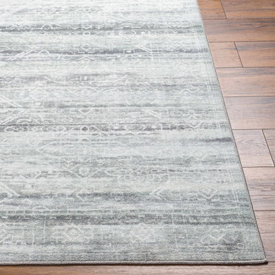 Blake Area Rug