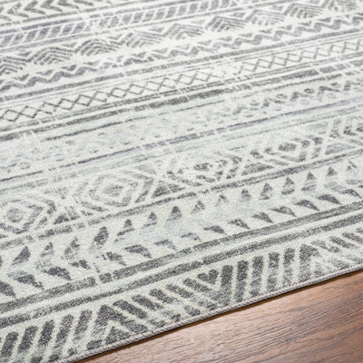 Ianna Area Rug