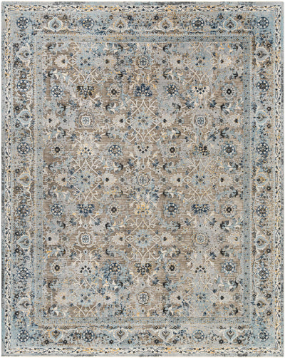 Finn Blue & Brown Area Rug