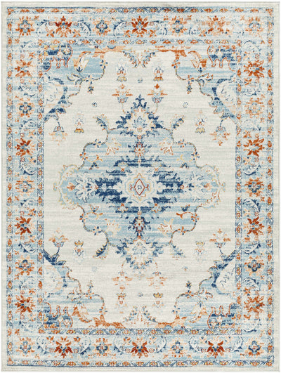 Liciada Gray & Blue Area Rug - Clearance