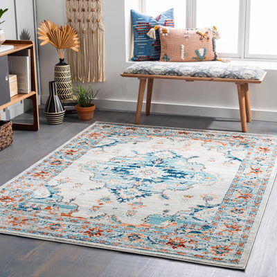 Liciada Gray & Blue Area Rug - Clearance