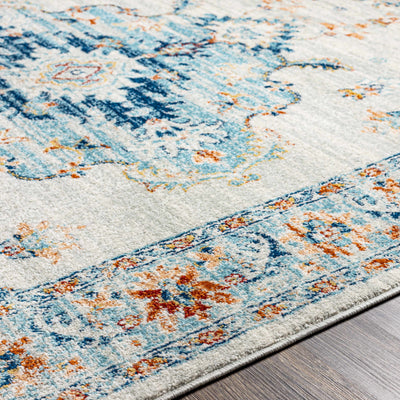 Liciada Gray & Blue Area Rug - Clearance