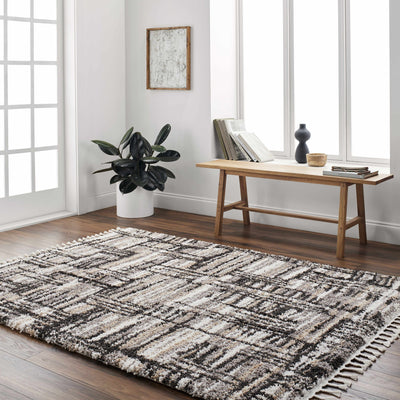 Arne Area Rug