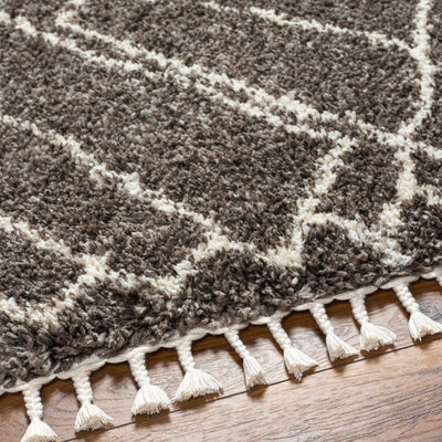 Hersz Gray Area Rug