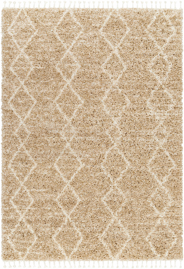 Ishan Area Rug