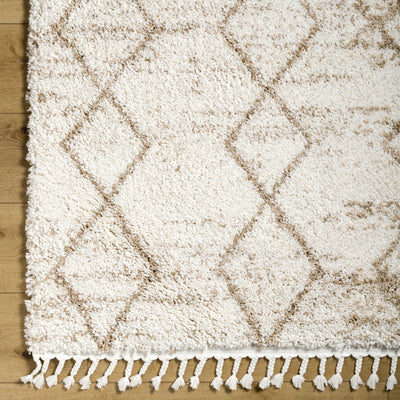 Ishan Cream Area Rug