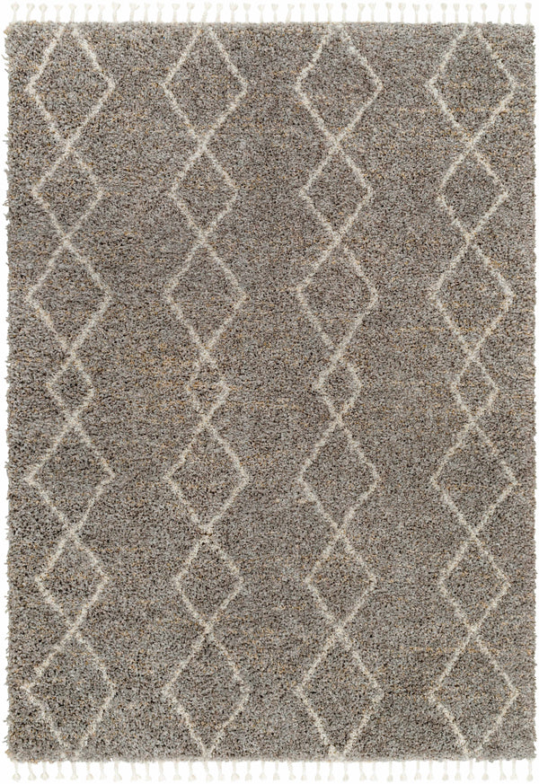 Ishan Taupe Area Rug