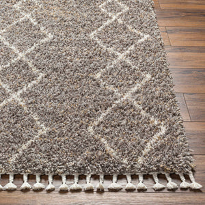 Ishan Taupe Area Rug