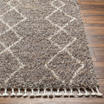 Ishan Taupe Area Rug