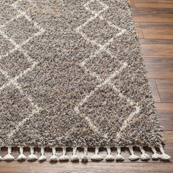 Ishan Taupe Area Rug