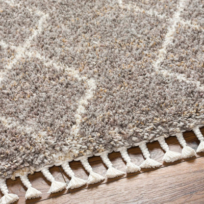 Ishan Taupe Area Rug