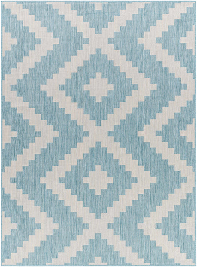 Anke Aqua Area Rug - Clearance