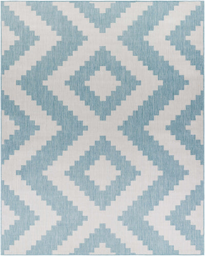 Anke Aqua Area Rug - Clearance