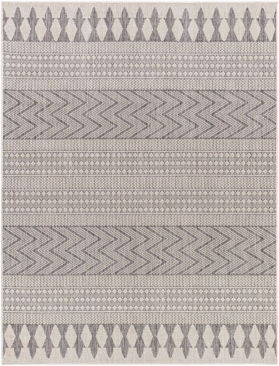 Asif Gray Area Rug