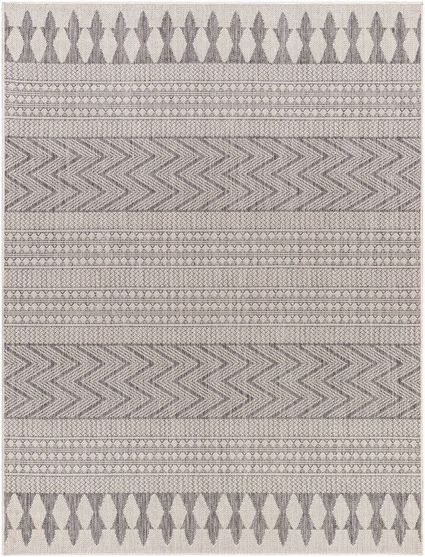 Asif Gray Area Rug