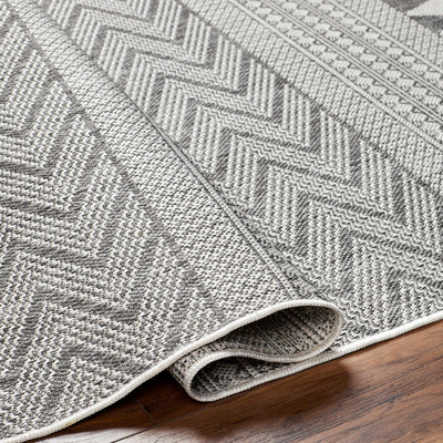 Asif Gray Area Rug