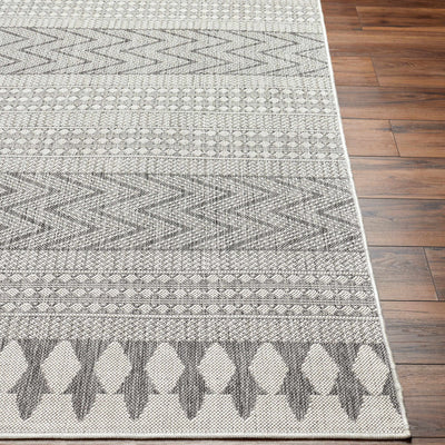 Asif Gray Area Rug