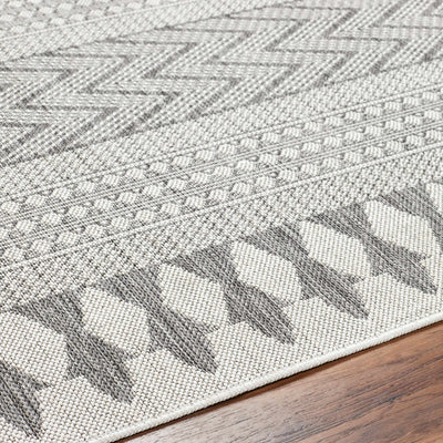 Asif Gray Area Rug