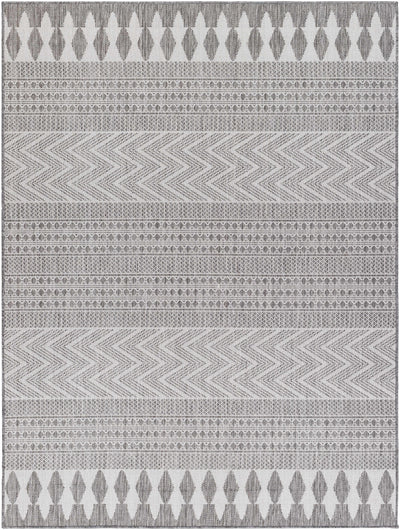 Asif Charcoal Area Rug - Clearance