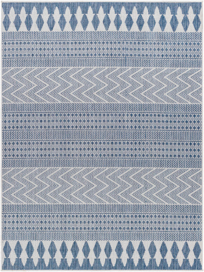 Asif Blue Area Rug - Clearance