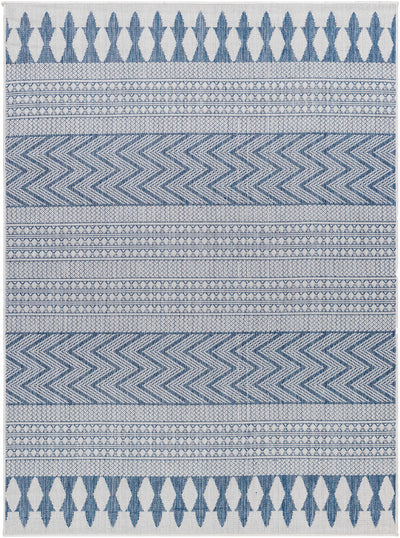 Asif Blue & Gray Area Rug