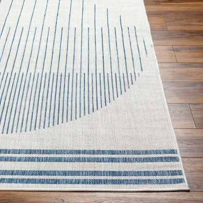 Aviya Blue & Gray Area Rug