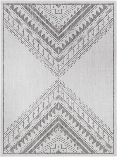 Deana Light Gray Area Rug - Clearance