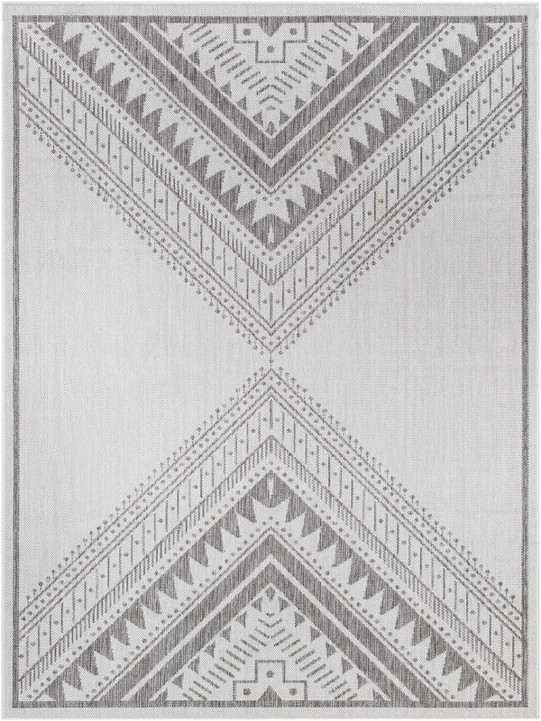 Deana Light Gray Area Rug - Clearance