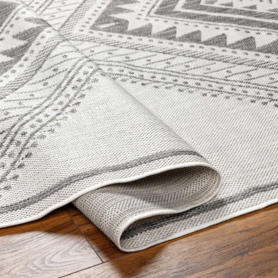 Deana Light Gray Area Rug - Clearance