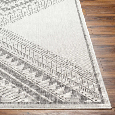 Deana Light Gray Area Rug - Clearance