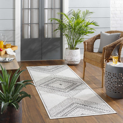 Deana Light Gray Area Rug - Clearance