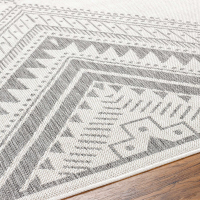 Deana Light Gray Area Rug - Clearance