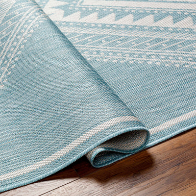 Deana Blue Area Rug - Clearance